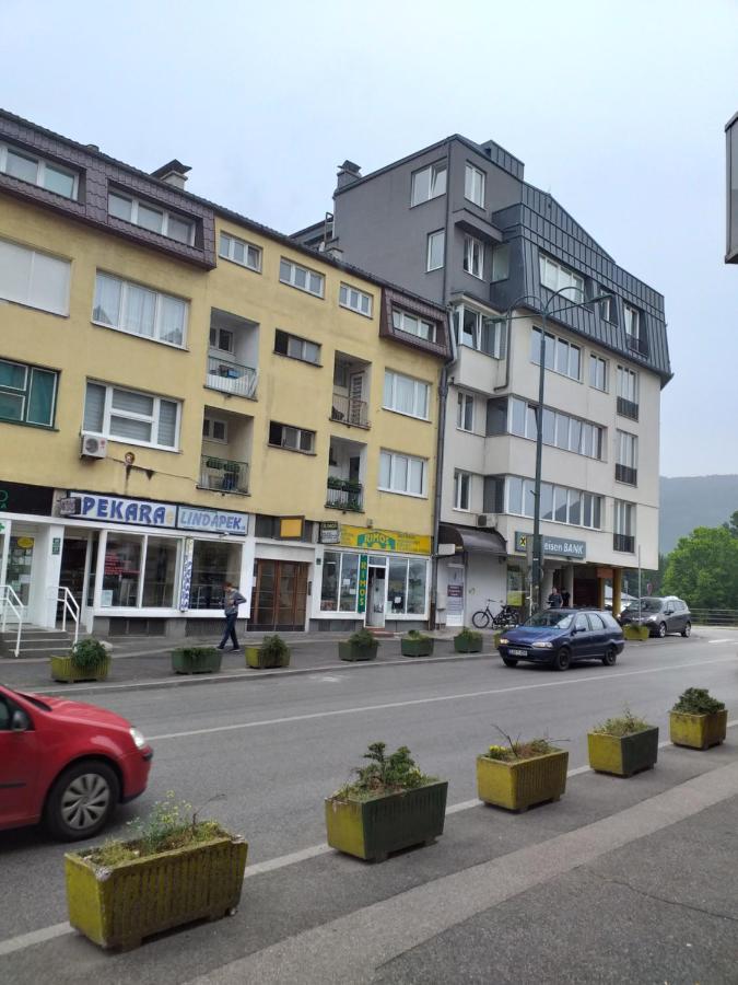 Trosoban Apartman Sarajevo, Ilidza Centar エクステリア 写真